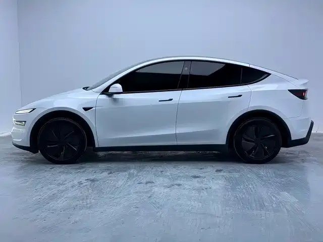 Tesla Model Y — Фото автомобиля 11