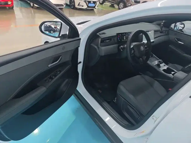 BYD Qin PLUS — Фото автомобиля 15