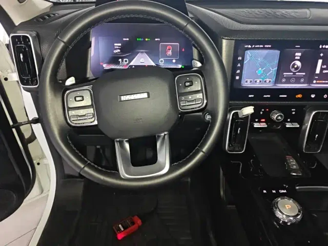 Haval Haval Big Dog 2021 1.5T DCT 2WD Border Collie Edition — Фото автомобиля 10