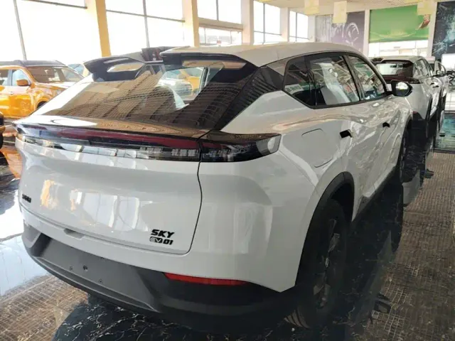 Dongfeng SKY EV01 — Фото автомобиля 6