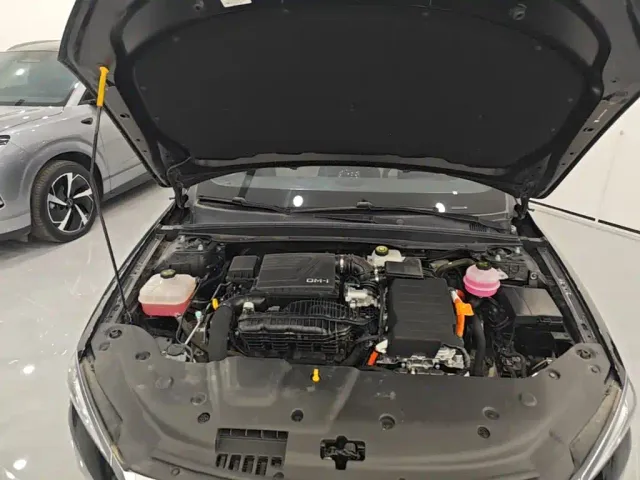 BYD Qin PLUS — Фото автомобиля 19
