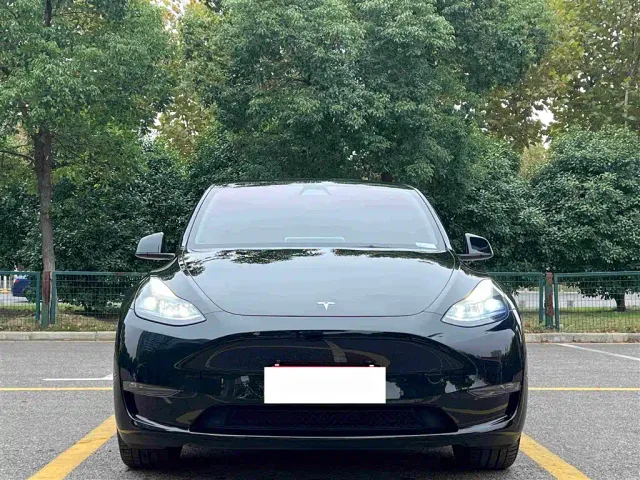 Tesla Model Y — Фото автомобиля 8