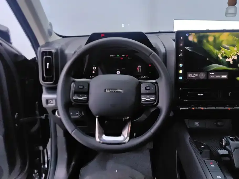Haval Haval Meng Long NEV 2024 Hi4 145 Cross-country Edition — Фото автомобиля 15