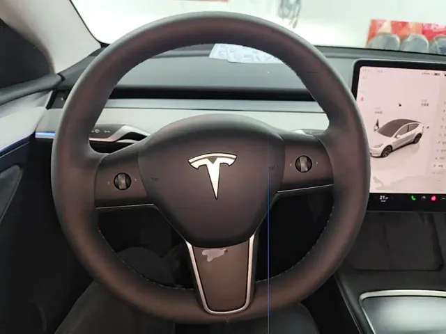 Tesla Model Y — Фото автомобиля 10