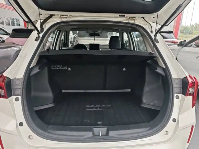 Venucia T60EV — Фото автомобиля 18