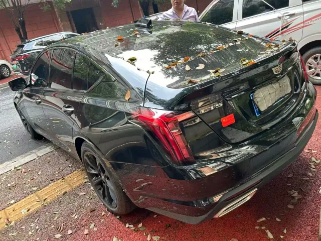 Cadillac CT5 — Фото автомобиля 6