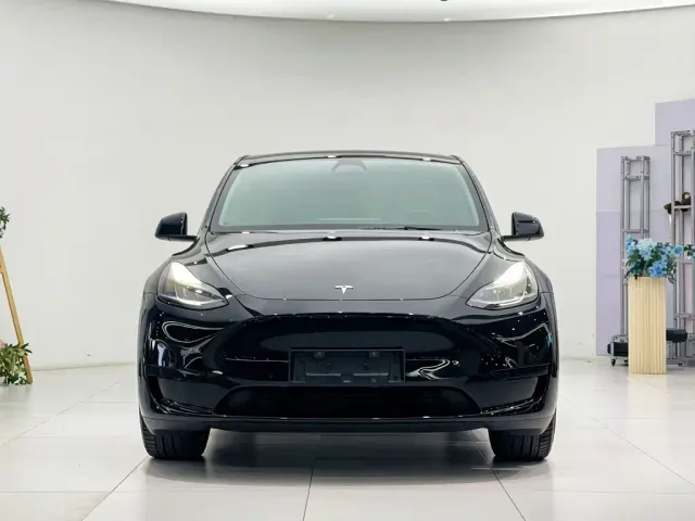Tesla Model Y — Фото автомобиля 2