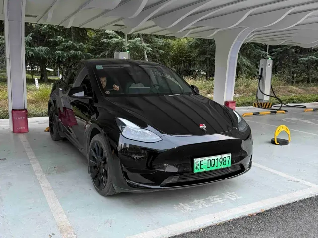 Tesla Model Y — Фото автомобиля 3