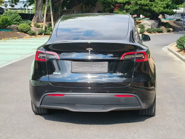 Tesla Model Y — Фото автомобиля 17