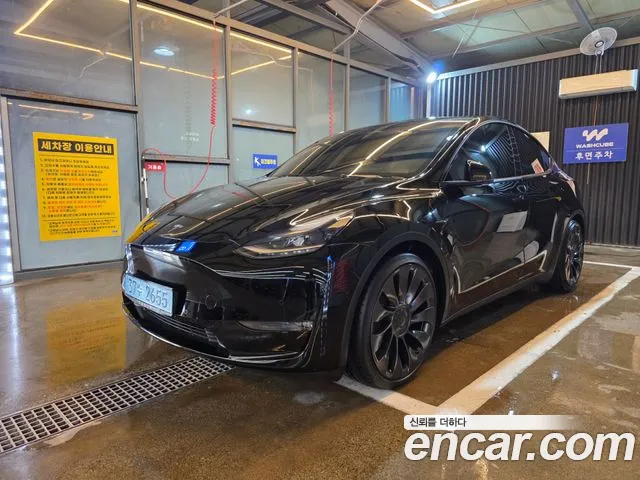 Tesla Model Y — Фото автомобиля 2