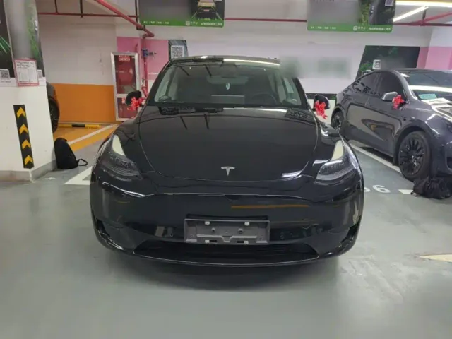 Tesla Model Y — Фото автомобиля 2