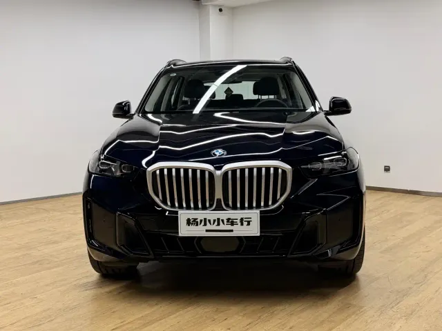 BMW X5 — Фото автомобиля 2