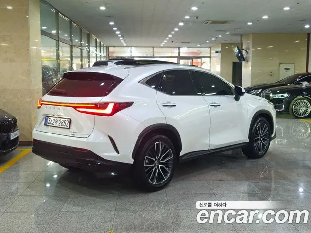 Lexus NX — Фото автомобиля 4