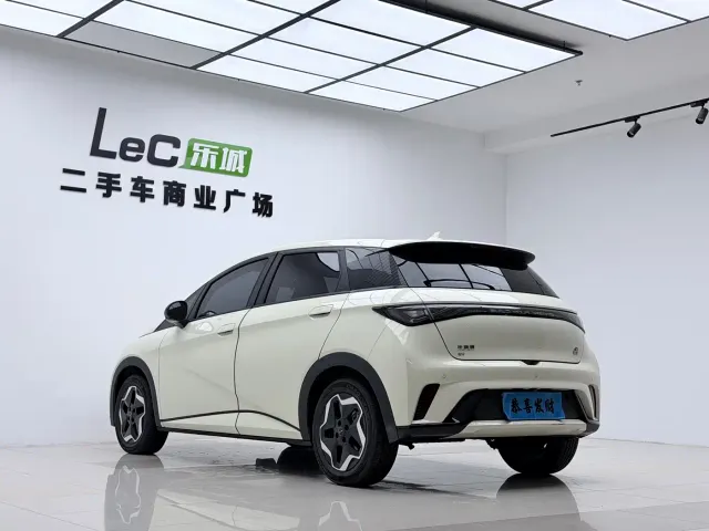 BYD Dolphin — Фото автомобиля 12