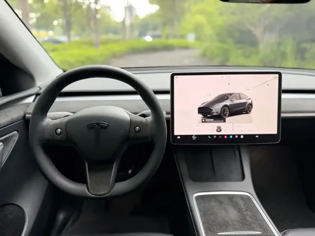 Tesla Model Y — Фото автомобиля 17
