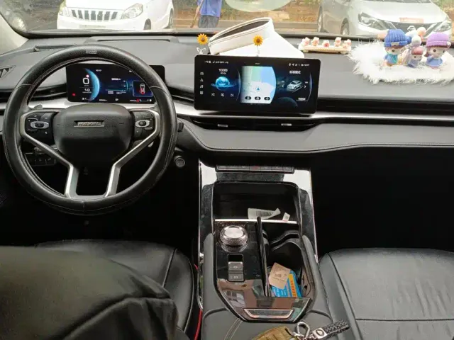 Haval H6 — Фото автомобиля 9