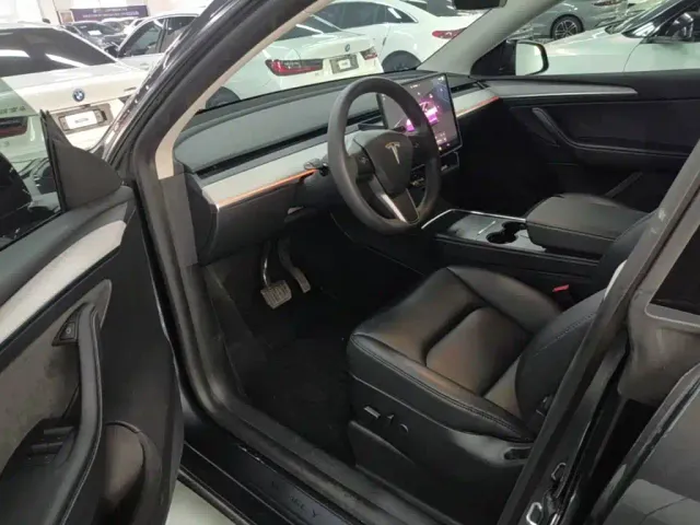 Tesla Model Y — Фото автомобиля 15