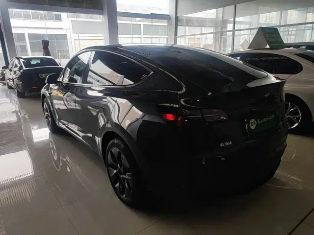 Tesla Model Y — Фото автомобиля 4
