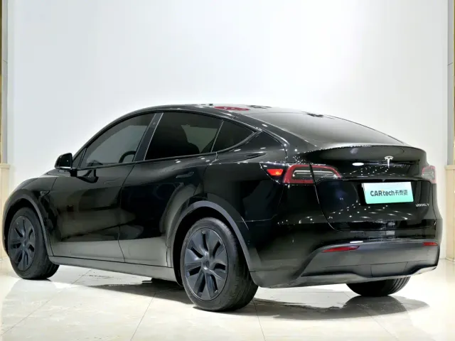 Tesla Model Y — Фото автомобиля 25