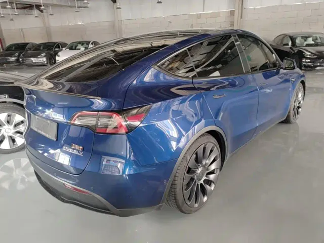 Tesla Model Y 2021 Performance High-Performance AWD — Фото автомобиля 6