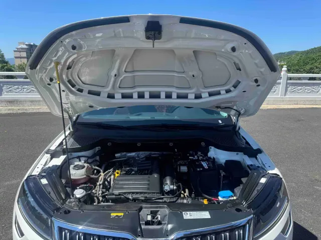 Skoda Karoq — Фото автомобиля 19