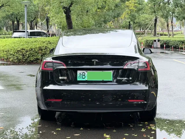 Tesla Model 3 — Фото автомобиля 21