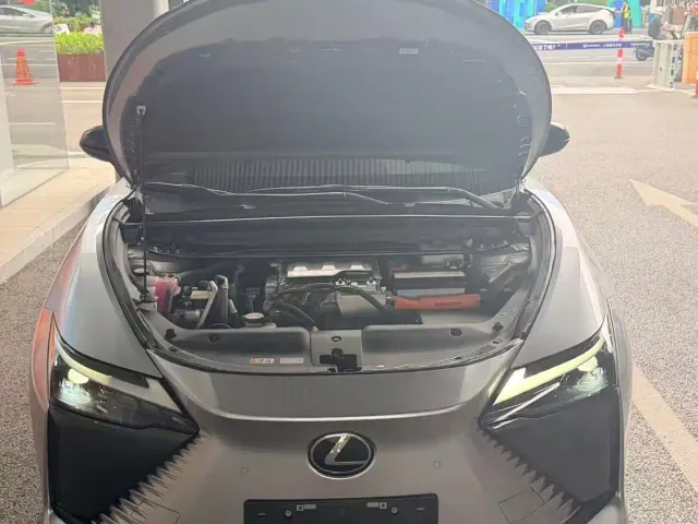 Lexus RZ — Фото автомобиля 7