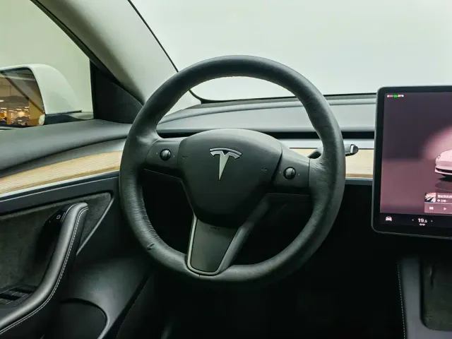 Tesla Model 3 — Фото автомобиля 23