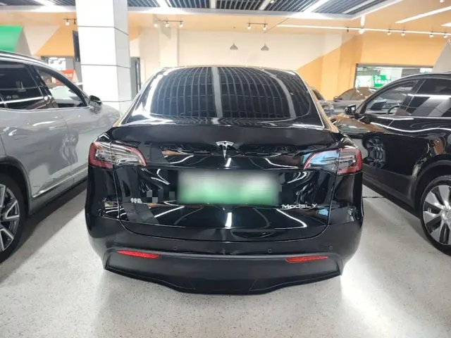 Tesla Model Y — Фото автомобиля 3