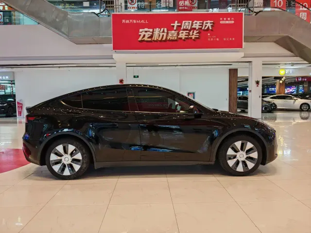 Tesla Model Y — Фото автомобиля 4