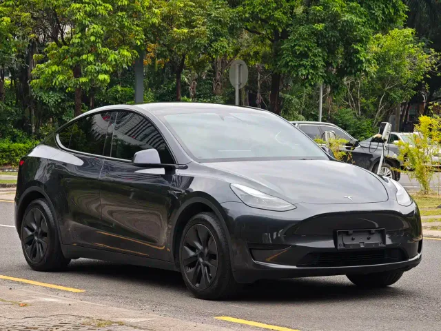 Tesla Model Y — Фото автомобиля 3