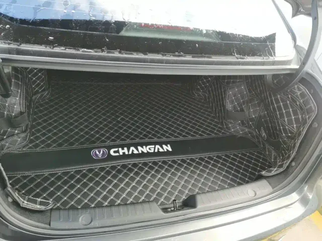 Changan Eado — Фото автомобиля 18