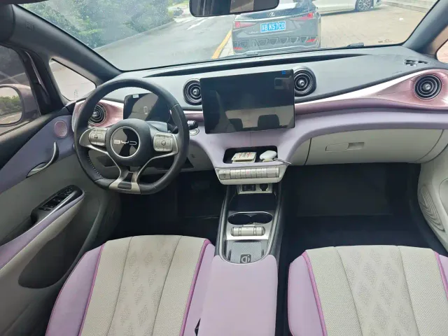 BYD Dolphin — Фото автомобиля 5