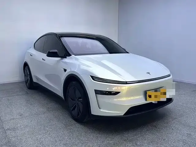 Tesla Model Y — Фото автомобиля 3