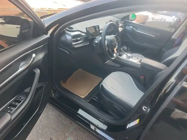 BYD Destroyer 05 — Фото автомобиля 15