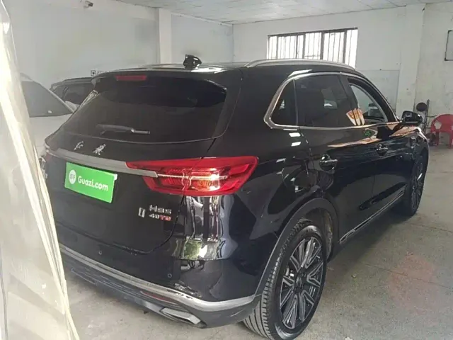 Hongqi Hongqi HS5 2022 Facelift 2.0T Smart Flag Enjoyment AWD Edition — Фото автомобиля 6