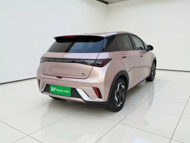 BYD Dolphin — Фото автомобиля 4