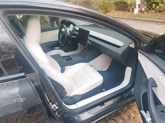 Tesla Model 3 — Фото автомобиля 19