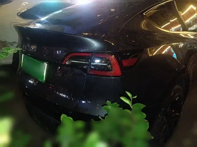 Tesla Model Y — Фото автомобиля 3