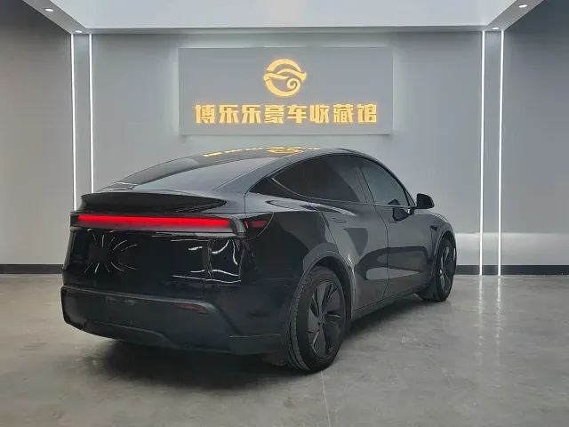 Tesla Model Y — Фото автомобиля 6