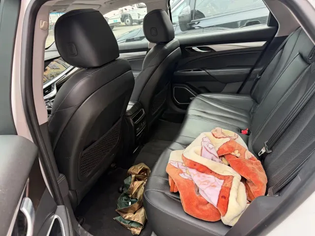 Geely Borui 2021 1.8T Pilot Edition+ — Фото автомобиля 8