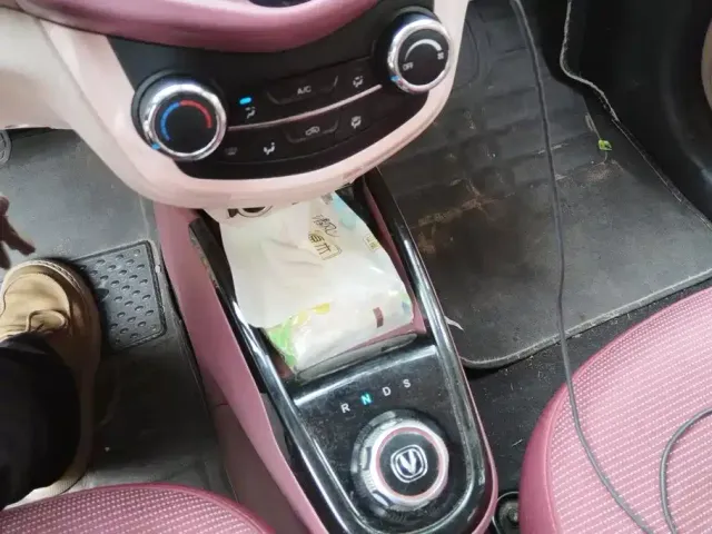 Changan Changan Benben E-Star 2021 National Edition Xinyi LFP (31.86kWh) — Фото автомобиля 15