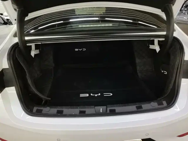 BYD Qin PLUS — Фото автомобиля 4