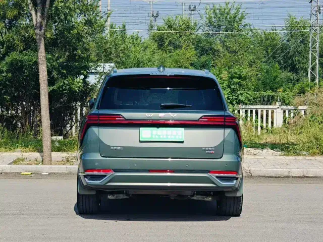 Wey Lanshan — Фото автомобиля 5