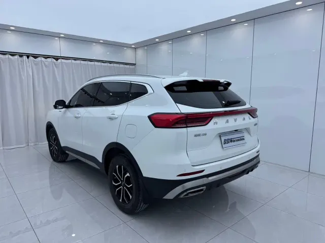 Haval Haval H6 2023 National Trend Edition 1.5T Automatic Urban — Фото автомобиля 6