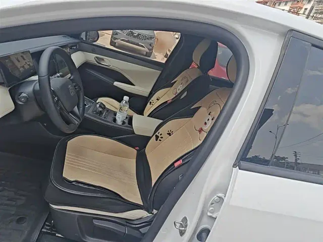 BYD Qin PLUS — Фото автомобиля 14