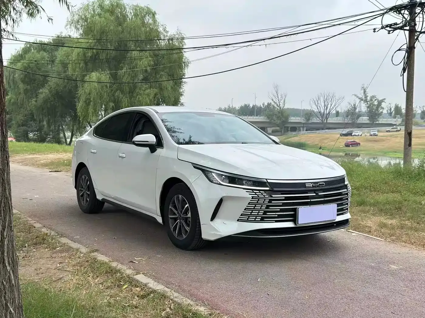 BYD Destroyer 05 2023 Champion Edition DM-i 55KM Luxury — Фото автомобиля 3