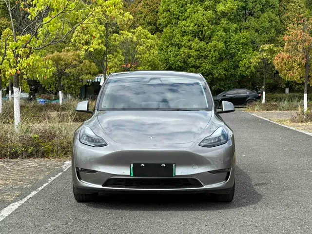 Tesla Model Y — Фото автомобиля 2