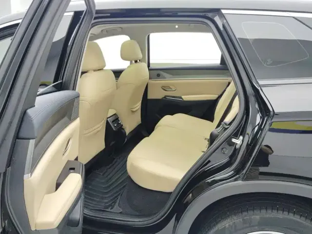 BYD Song Pro New Energy 2025 2nd Gen DM-i 75KM Surpass — Фото автомобиля 11