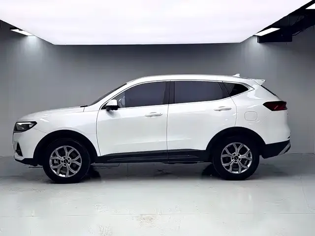 Haval H6 — Фото автомобиля 9